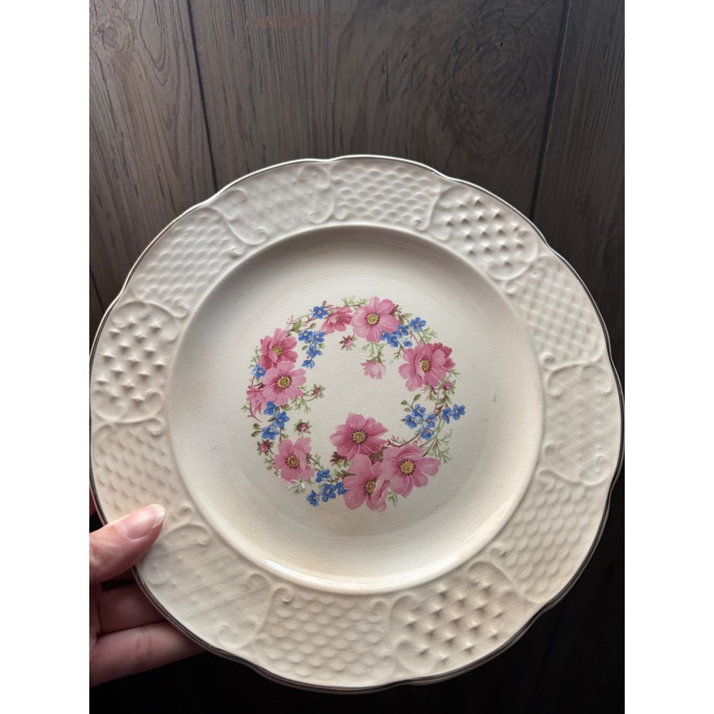 National China Floral Krest Dinner Plate Vintage Sebring Ohio Pink Blue Floral